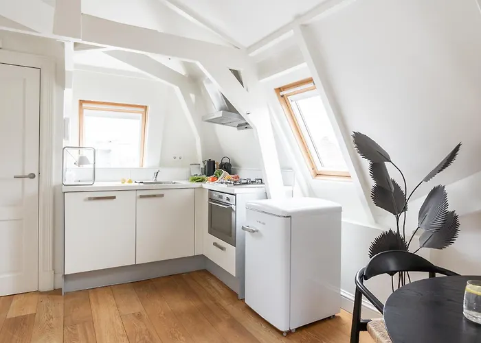 Numa Helmers 암스테르담